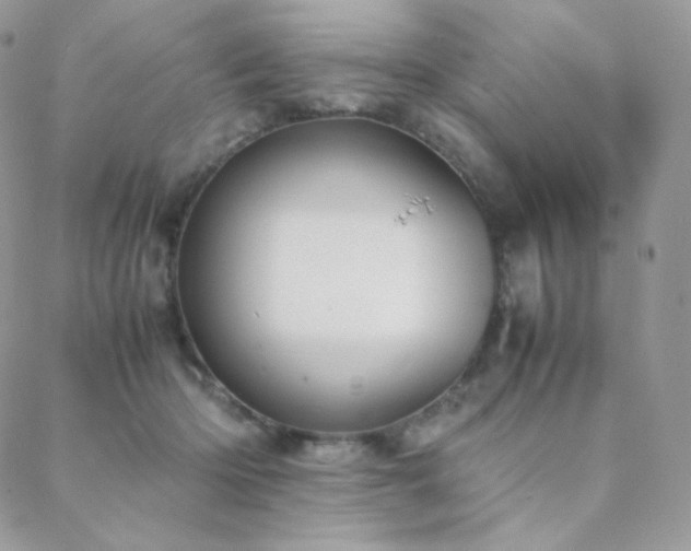 X0000089400414200706151231