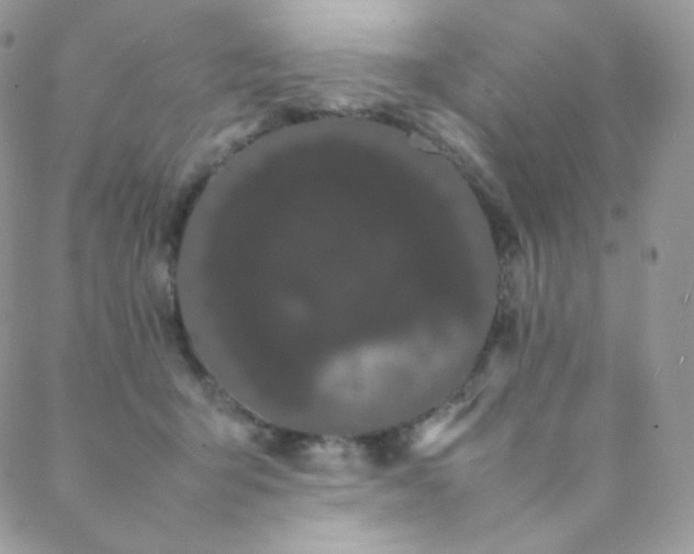 X0000089400415200706151231