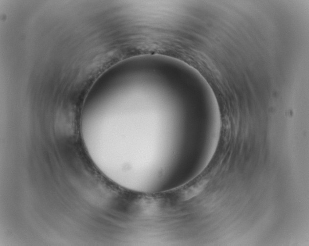 X0000089400416200706151231