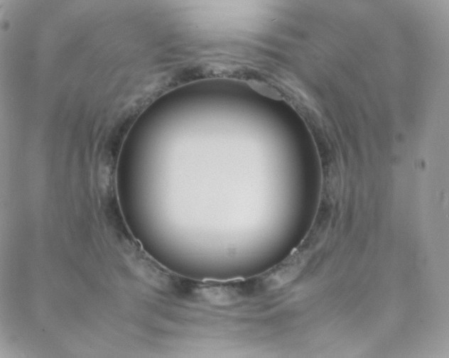 X0000089400417200706151231