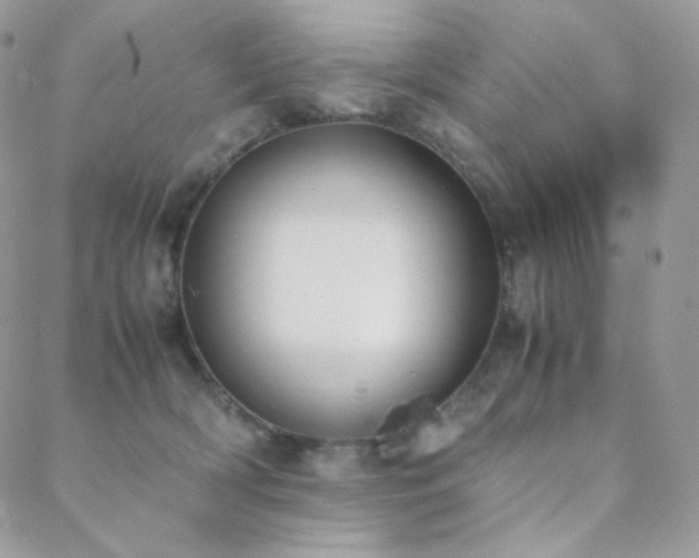 X0000089400418200706151231