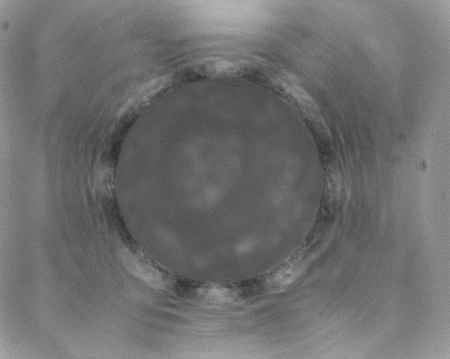 X0000089400419200706151231