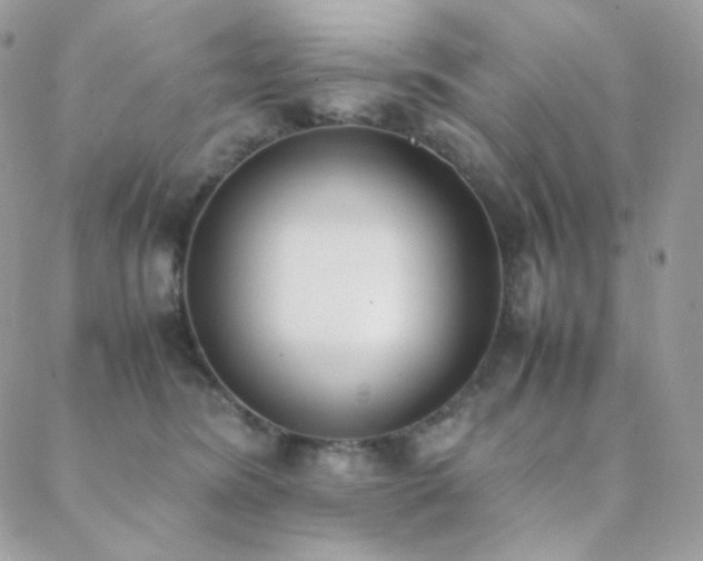 X0000089400420200706151231