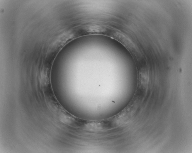 X0000089400422200706151231