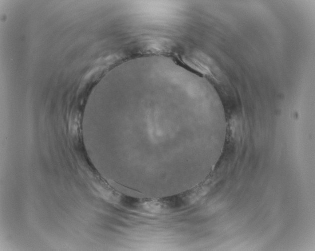 X0000089400423200706151231