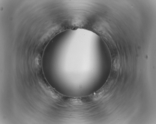 X0000089400424200706151231