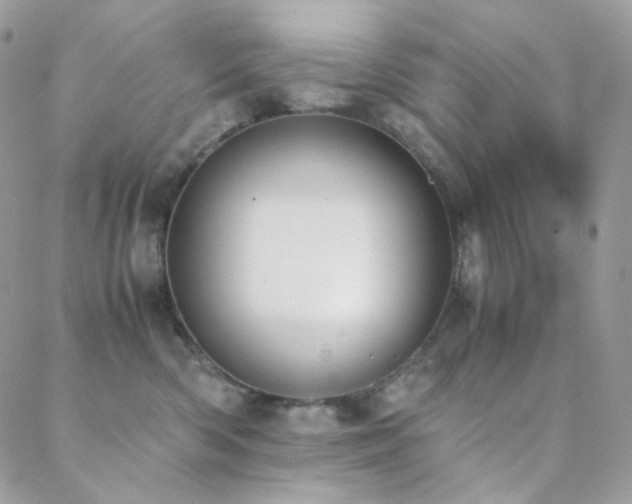 X0000089400426200706151231