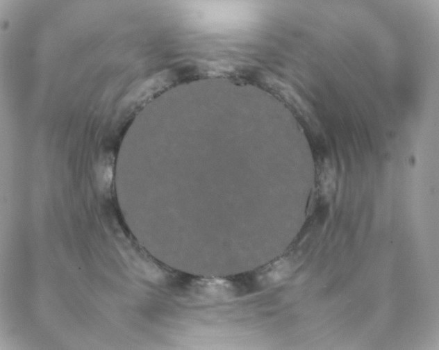 X0000089400427200706151231