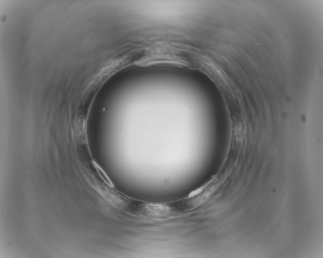 X0000089400429200706151231