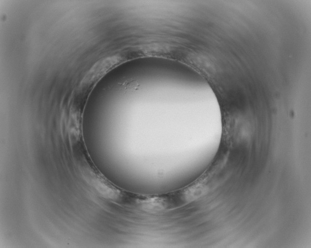 X0000089400430200706151231