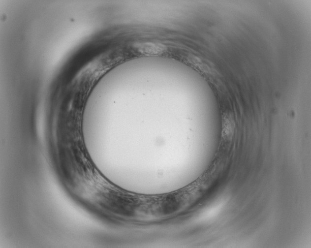 X0000089400431200706151231