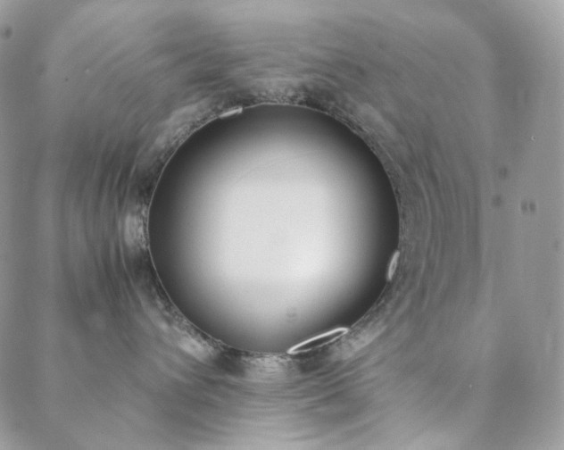 X0000089400432200706151231