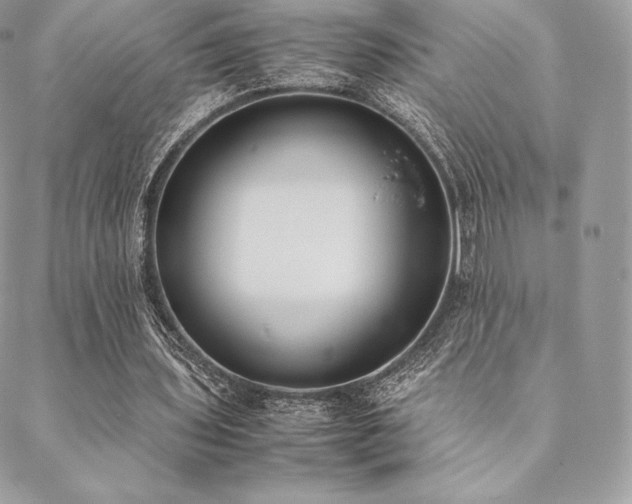 X0000089400435200706151230