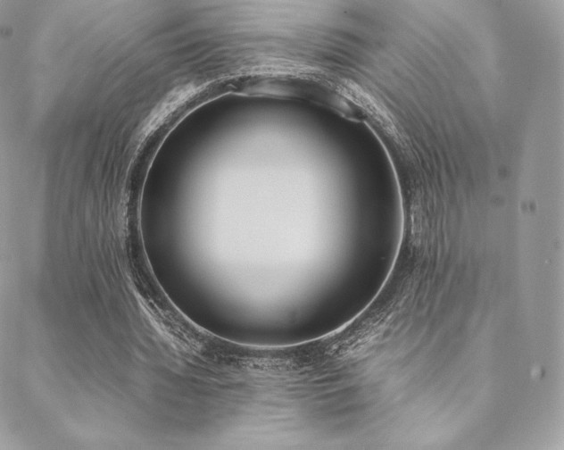 X0000089400436200706151230