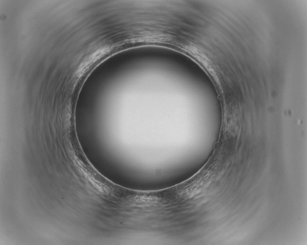 X0000089400437200706151230