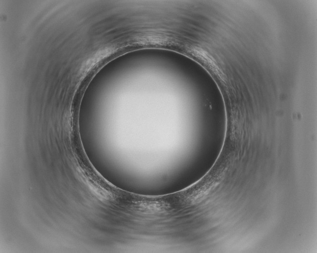 X0000089400439200706151230