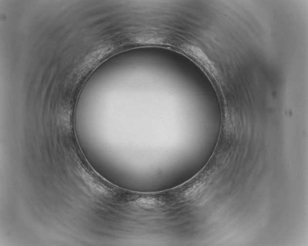 X0000089400441200706151230