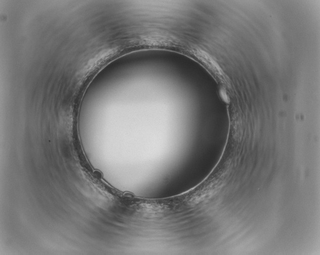 X0000089400442200706151231