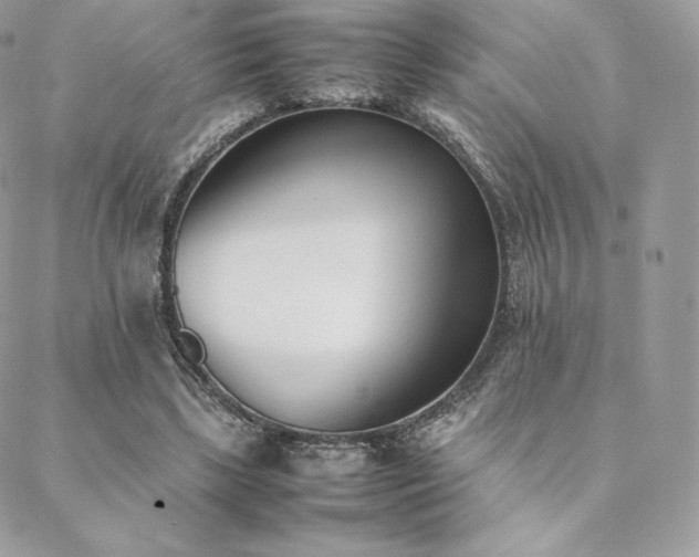 X0000089400443200706151231