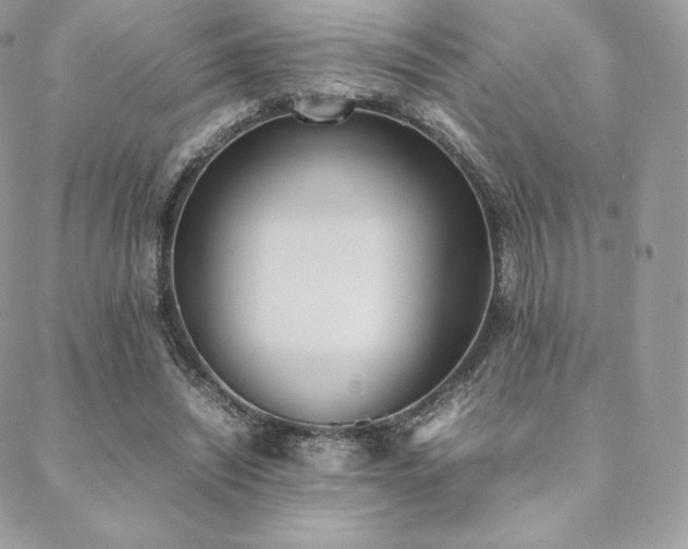 X0000089400444200706151231