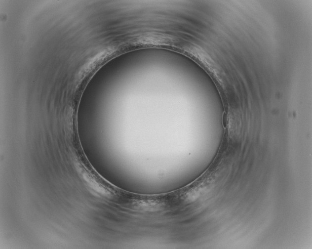 X0000089400445200706151231