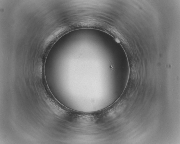 X0000089400446200706151231