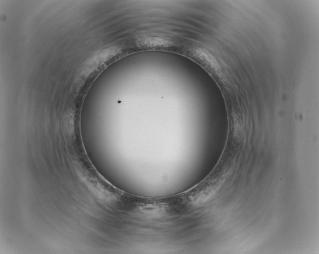 X0000089400447200706151231