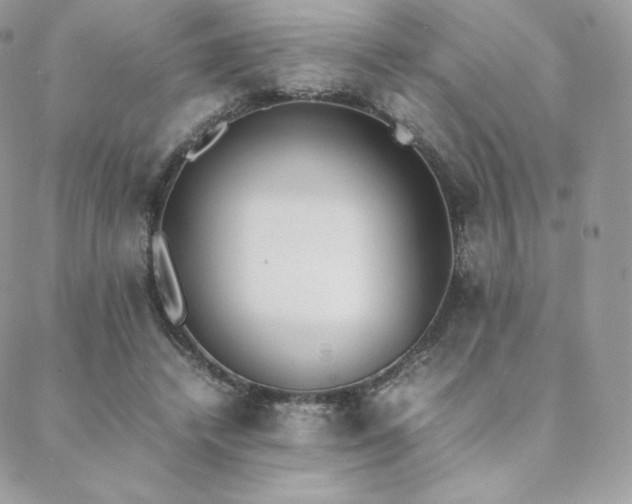 X0000089400448200706151231