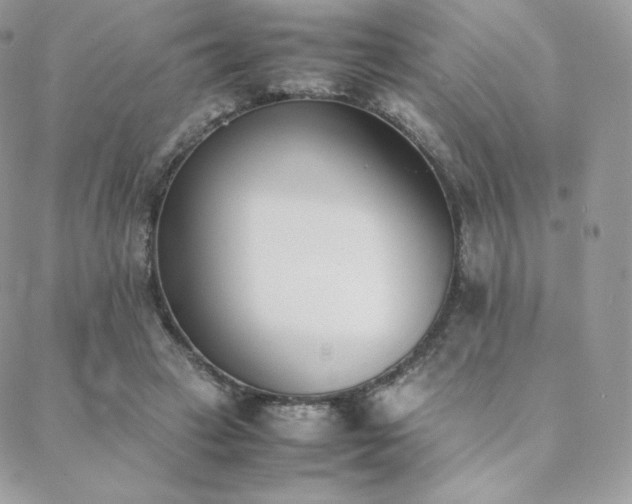 X0000089400449200706151231