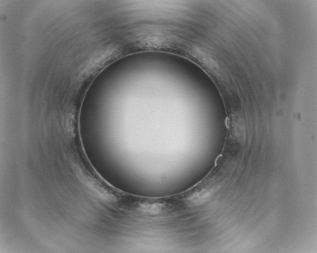 X0000089400450200706151231