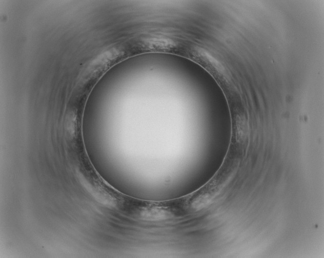 X0000089400451200706151231