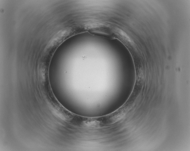 X0000089400452200706151231