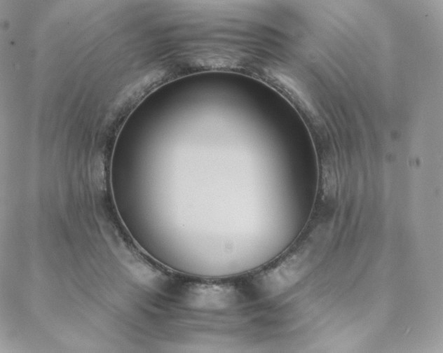 X0000089400453200706151231