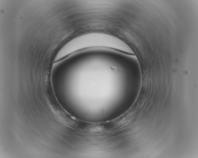 X0000089400456200706151231