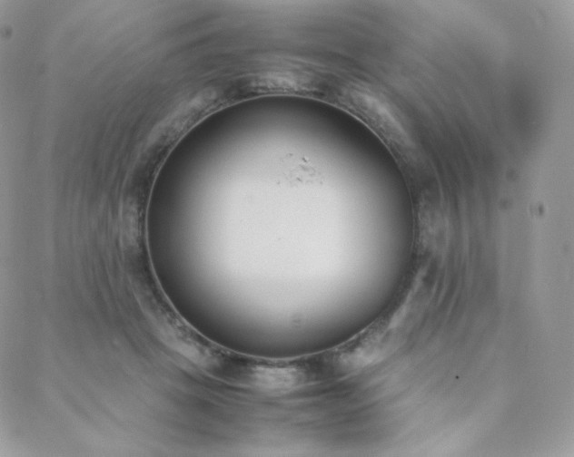 X0000089400457200706151231