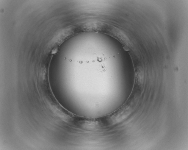 X0000089400458200706151231