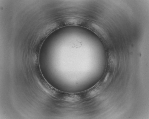 X0000089400459200706151231