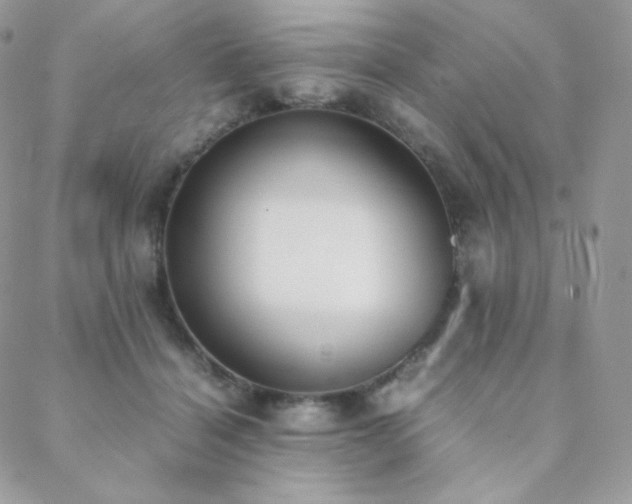 X0000089400460200706151231