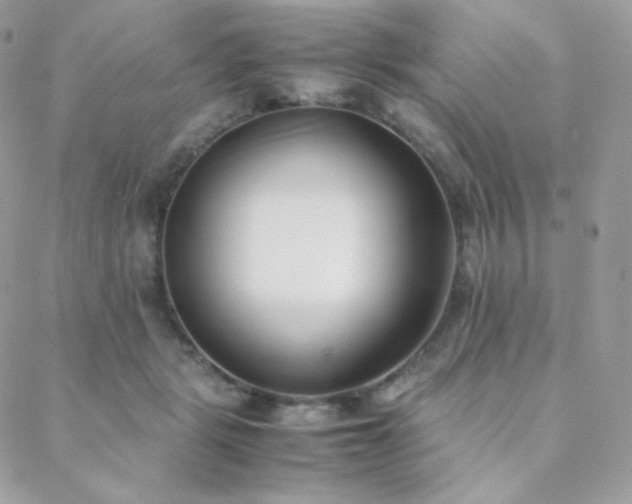 X0000089400461200706151231