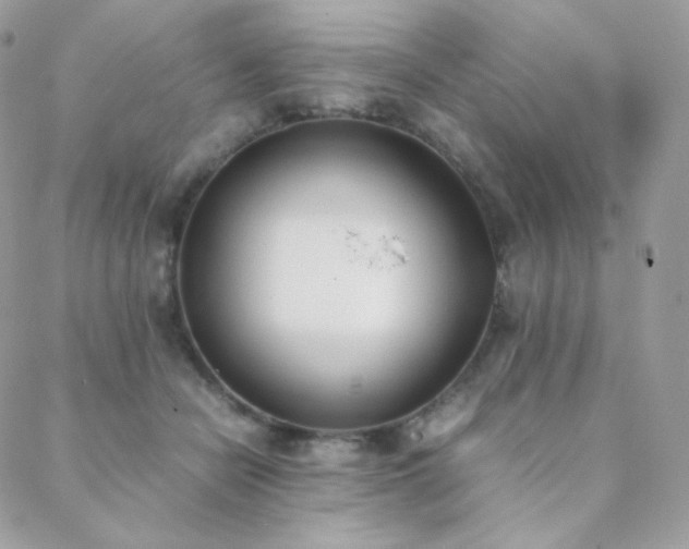 X0000089400462200706151231