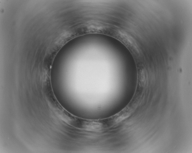 X0000089400463200706151231