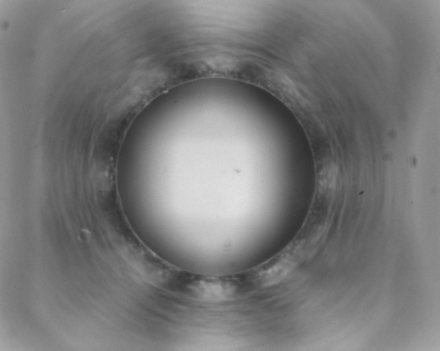 X0000089400464200706151231