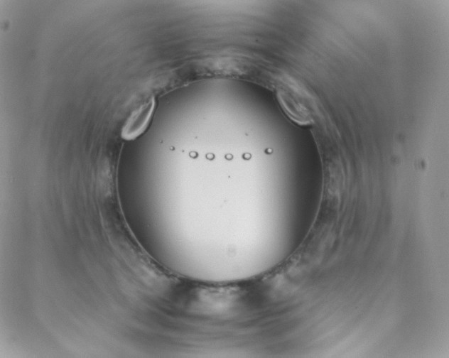 X0000089400465200706151231