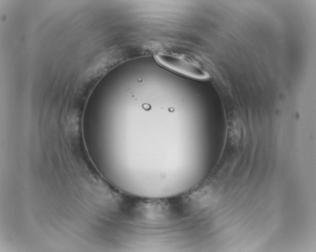 X0000089400466200706151231