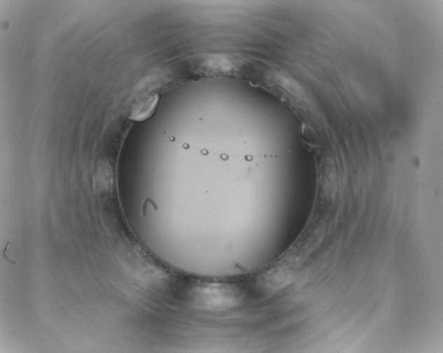 X0000089400467200706151231