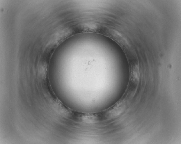 X0000089400468200706151231