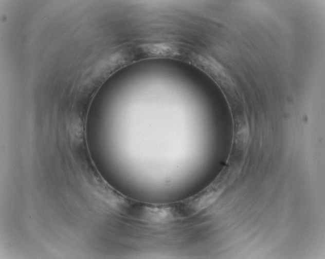 X0000089400469200706151231