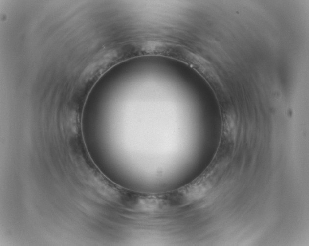 X0000089400470200706151231