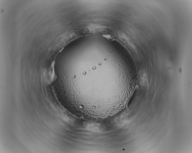 X0000089400471200706151231