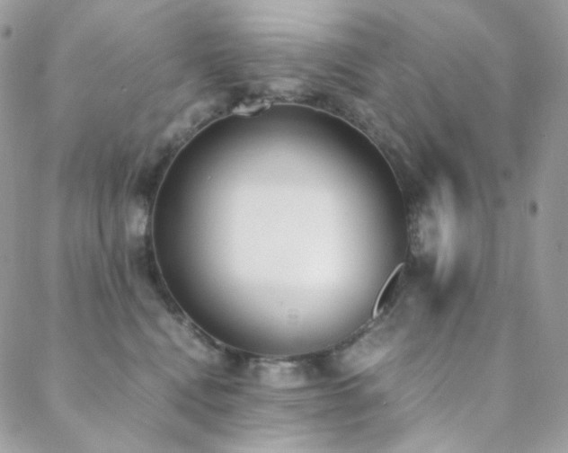 X0000089400472200706151231